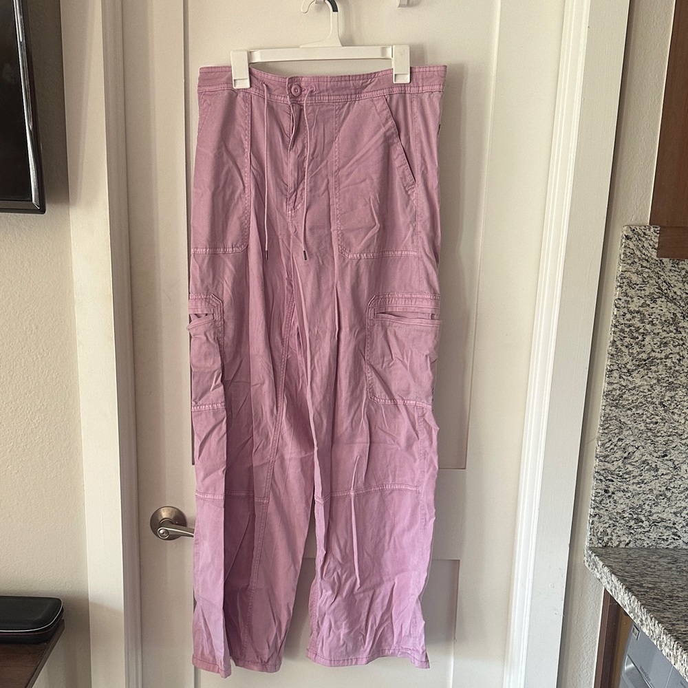 American Eagle Outfitters purple Cargo Pants